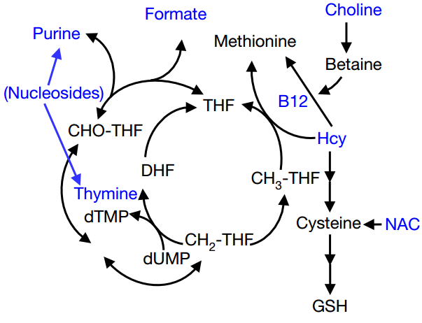 kaiyun官网入口|《无主之地3》E3闭门演示曝光 展示全新内容(图2) Kaiyun官方网站