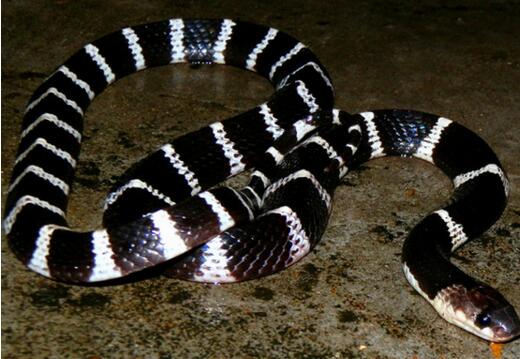 【开云kaiyun官方网站】绝地求生公布2018游戏未来开发计划 新地图表情系统曝光(图1) kaiyun官网入口