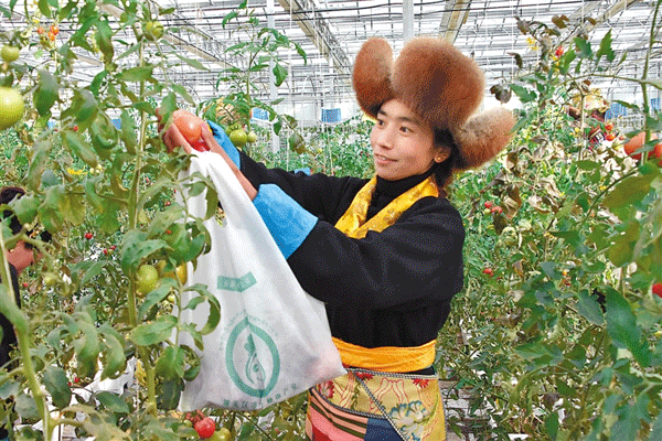 【Kaiyun官方网站】任天堂联名《塞尔达传说:荒野之息》主题switch手柄将推出(图2) 开云kaiyun官方网站