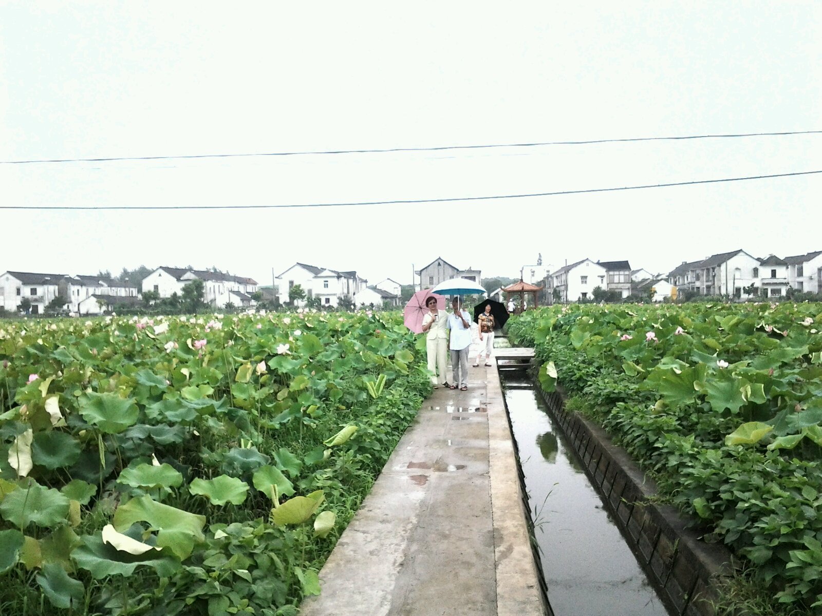 十位大咖激辩万科股权之争-kaiyun官网入口(图2) Kaiyun官方网站