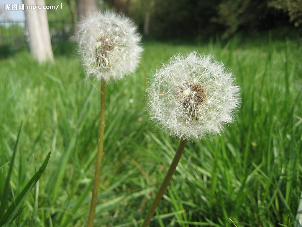 kaiyun官网入口_独特美术风格体验! PS VR《纸兽》沙盒宣传片公开(图1) Kaiyun官方网站