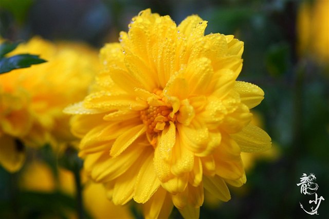 LOL3月幸运召唤师活动在哪 lol3月幸运召唤师活动网址“Kaiyun官方网站”(图1) 开云kaiyun官方网站