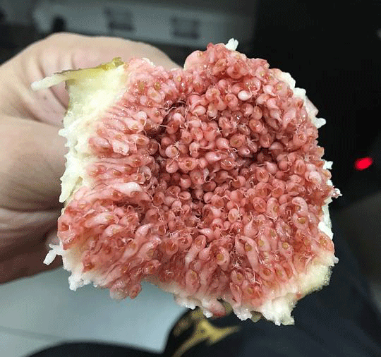 郁亮:未来土地市场高温态势将有所缓和:Kaiyun官方网站(图1) Kaiyun官方网站