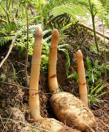 “Kaiyun官方网站”lol2.9周免英雄查询 英雄联盟2月9日免费英雄更换公告(图1) 开云kaiyun官方网站