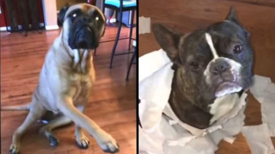 天津住房公积金异地转入有新规:kaiyun官网入口(图2) 开云kaiyun官方网站