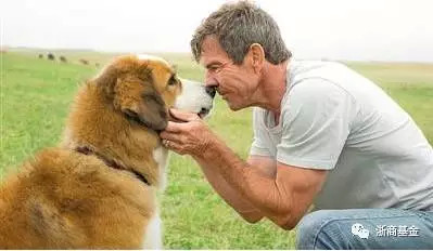 kaiyun官网入口|虚幻4版《剑灵》新视频欣赏 小姐姐更美更逼真了(图2) Kaiyun官方网站