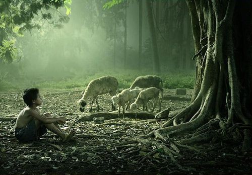 《狙击精英V2重制版》对比视频公布 发行日期确定“开云kaiyun官方网站”(图1) 开云kaiyun官方网站