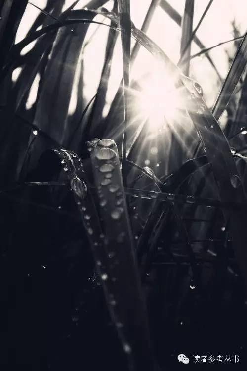 开云kaiyun官方网站|《皇牌空战7:未知空域》已完成95% 剩余5%将影响游戏体验(图1) kaiyun官网入口