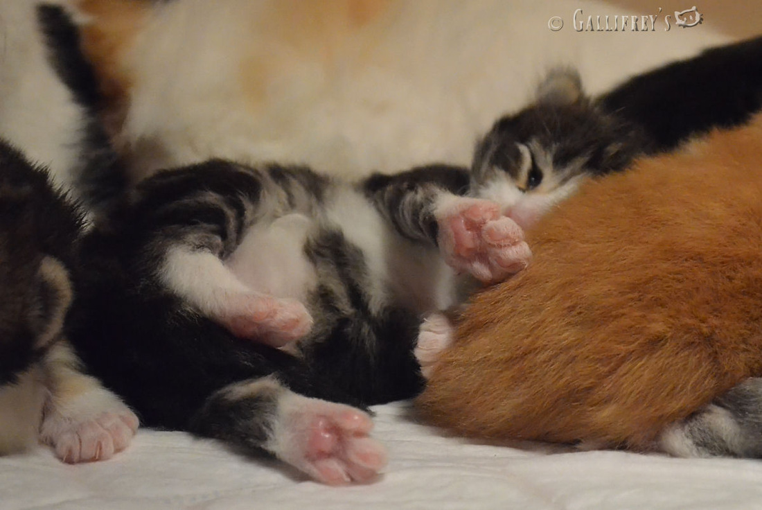 第四座万达城启动运营 王健林死磕中国迪士尼|kaiyun官网入口(图2) Kaiyun官方网站