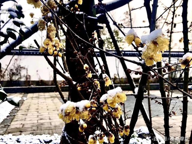 开云kaiyun官方网站