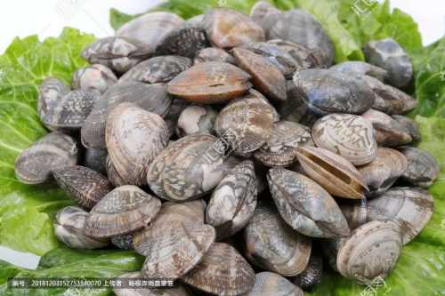 银隆新能源:原董事长、原总裁侵占公司利益金额超过10亿_开云kaiyun官方网站(图1) Kaiyun官方网站