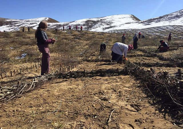 开云kaiyun官方网站