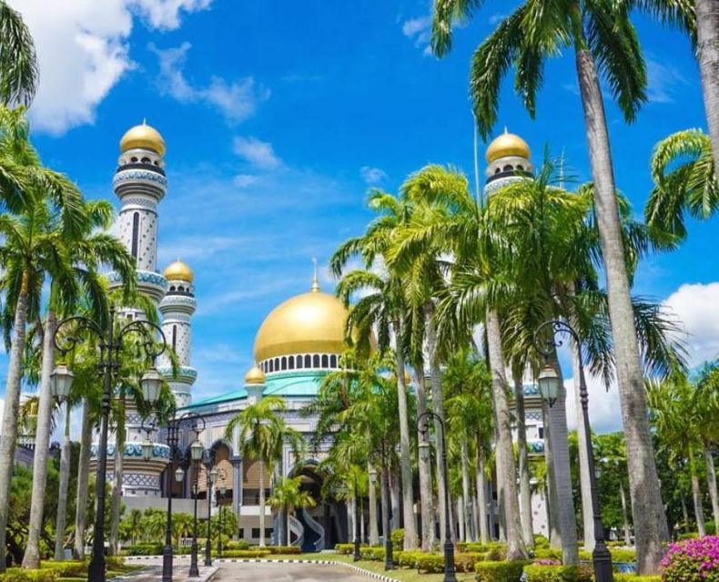 Kaiyun官方网站_黑曜石有兴趣开发《阿尔法协议》续作 但决定权在世嘉(图1) Kaiyun官方网站