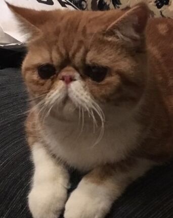 开云kaiyun官方网站