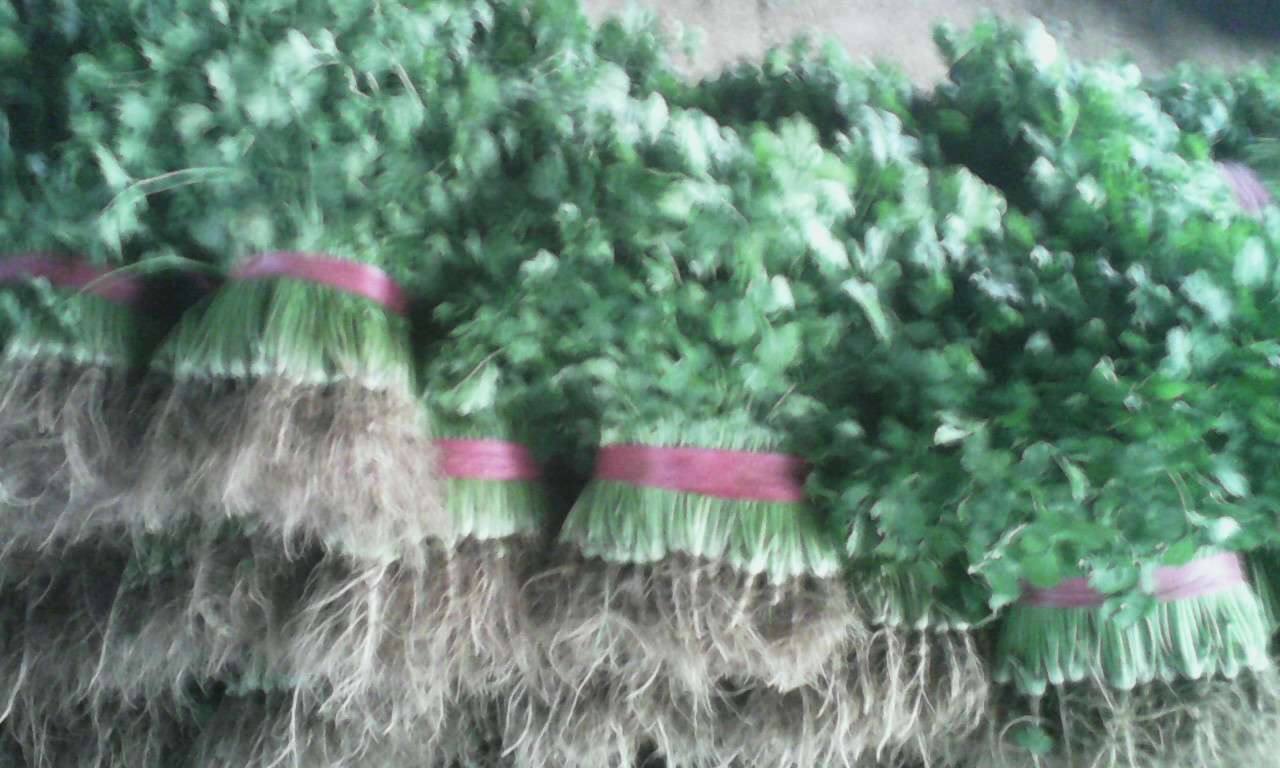 开云kaiyun官方网站