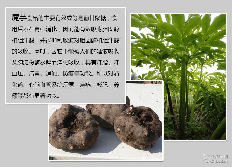 Kaiyun官方网站_世茂20.09亿上海连拿四地(图2) kaiyun官网入口