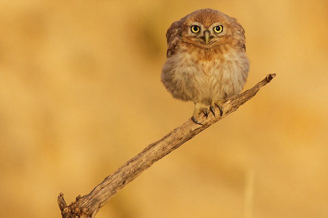 开云kaiyun官方网站